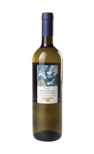 Guerrieri Bianchello del Metauro D.O.C  2024 wino białe wytrawne 12,5%