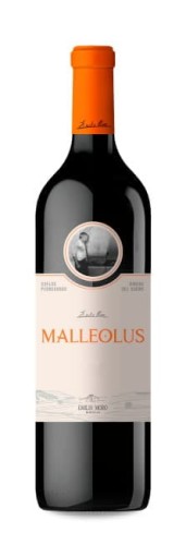 malleolus.jpg