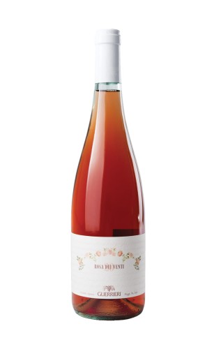 Guerrieri-rosa-dei-venti-1.jpg
