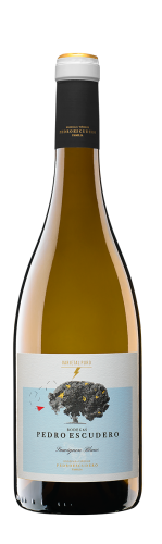 pedro-escudero-sauvignon-blanc-384641-100-1741861480-400x1334.png