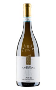 Tenuta Antonini Hydria  Abruzzo Pecorino DOC 2024 wino białe wytrawne 13%