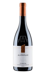 Tenuta Antonini Corium Montepulciano D' Abruzzo DOC 2023 wino czerwone wytrawne 14%