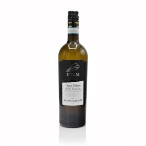 Biscardo UVAM  Pinot Grigio delle Venezie DOC 2025 wino białe wytrawne  12 %