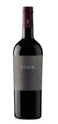 scaia-corvina.jpg