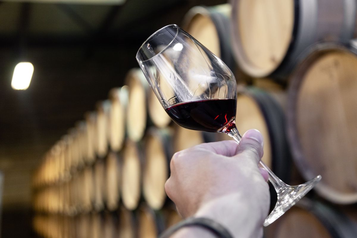Jak degustować wino? Przewodnik krok po kroku